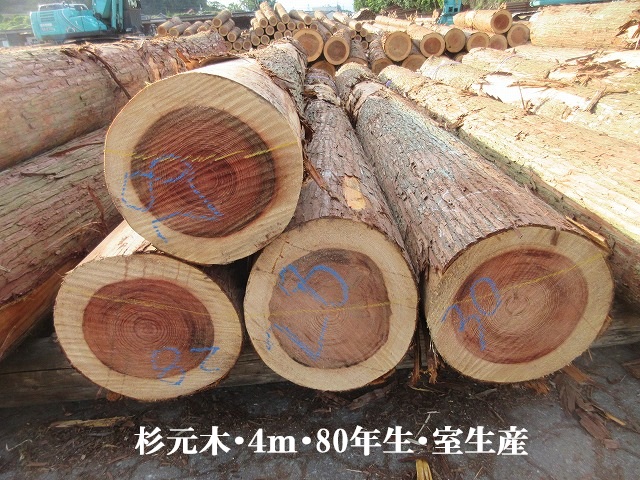 521-15.jpg