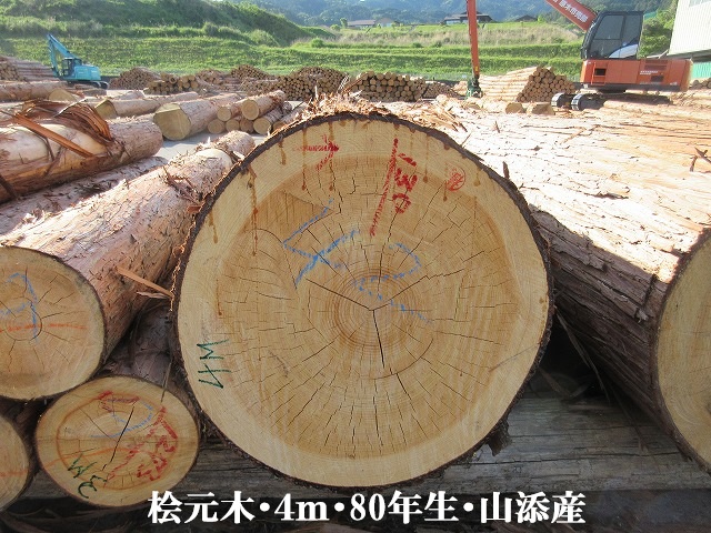521-29.jpg