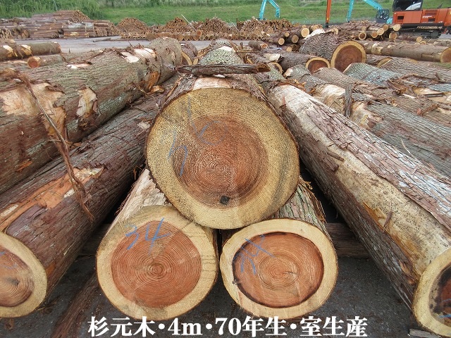 523-20.jpg
