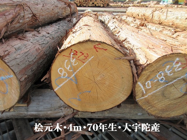 523-25.jpg