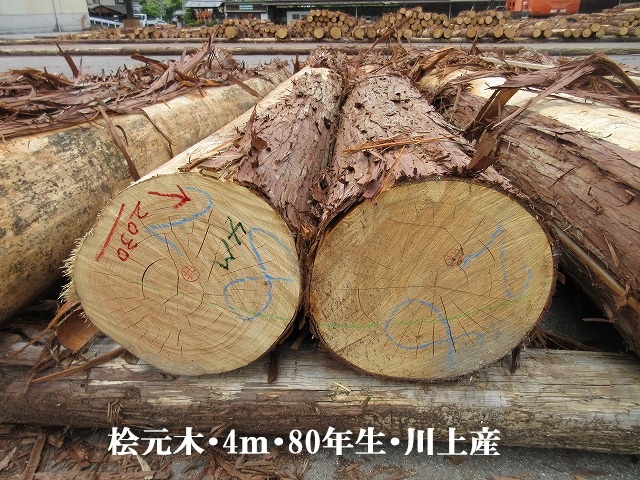 525-10.jpg