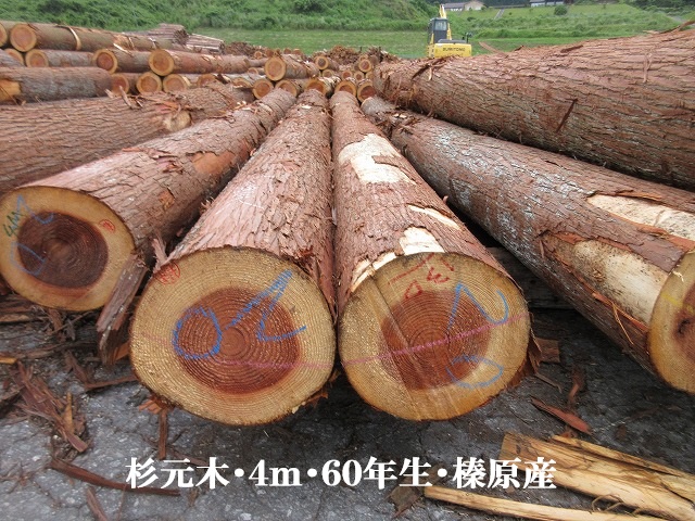527-20.jpg