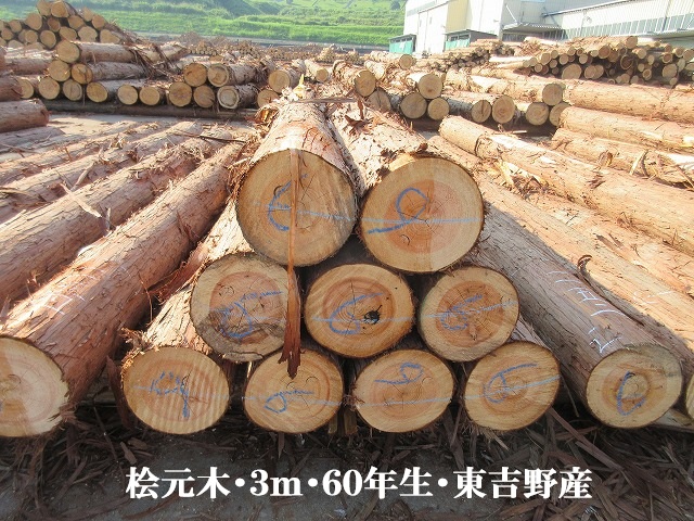 531-40.jpg