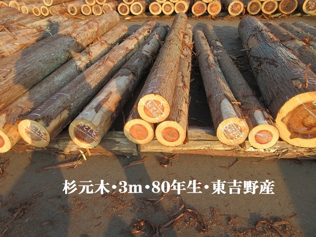 531-54.jpg