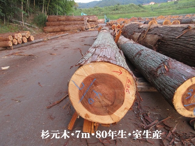 531-78.jpg