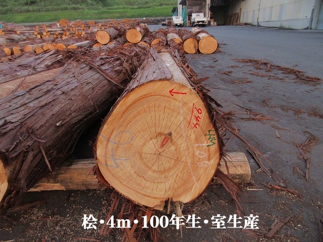 531-81.jpg