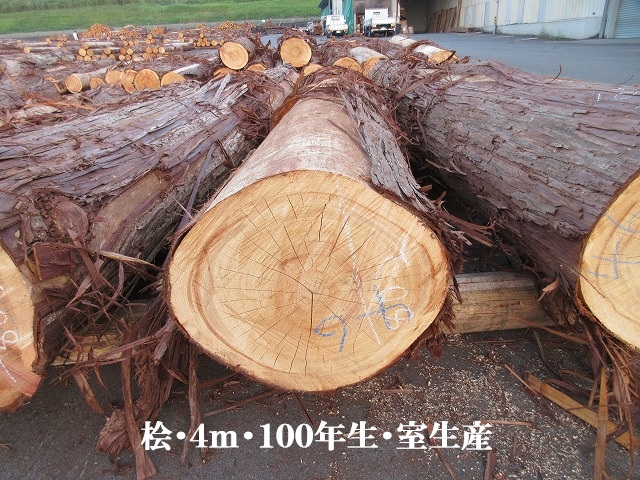 531-82.jpg