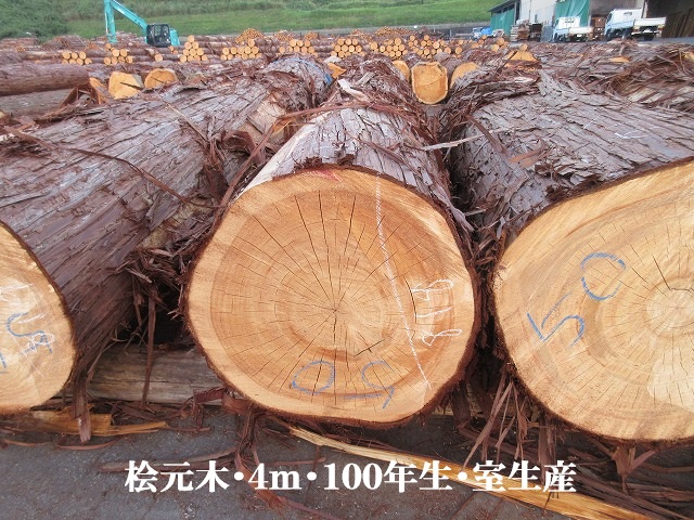 531-87.jpg