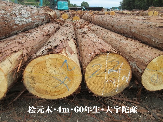 533-22.jpg