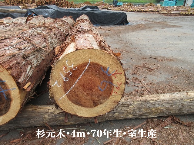 533-29.jpg
