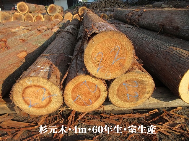 535-44.jpg