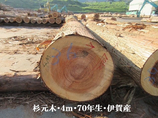 535-48.jpg