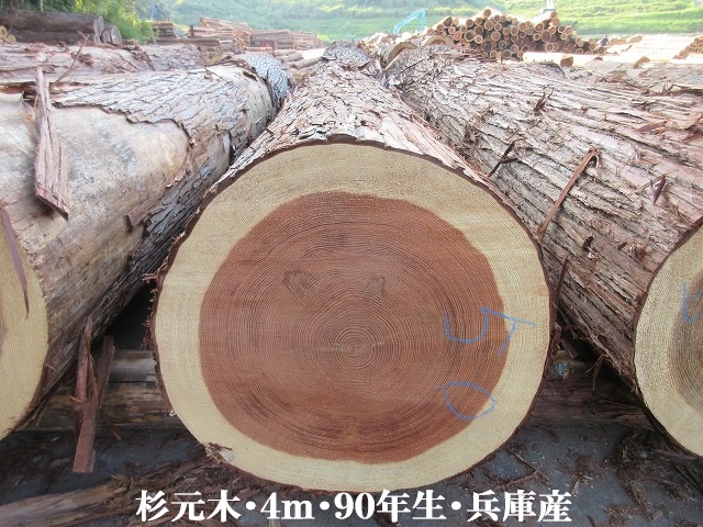 535-50.jpg