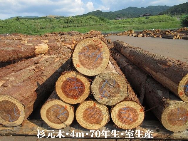 535-51.jpg