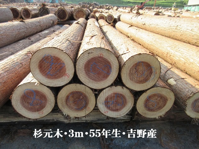 535-76.jpg