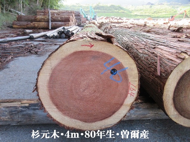 535-78.jpg