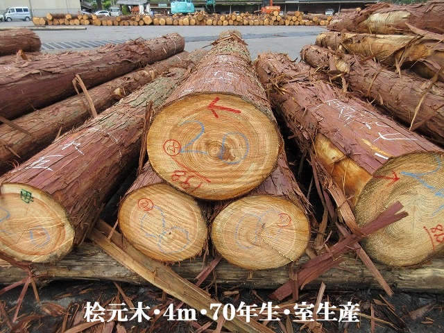 537-12.jpg