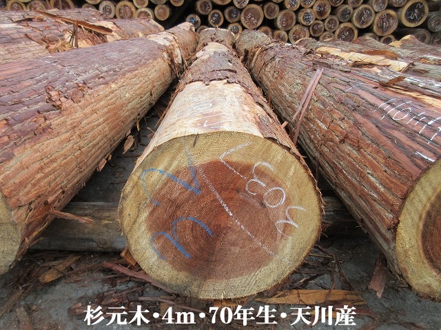 537-20.jpg