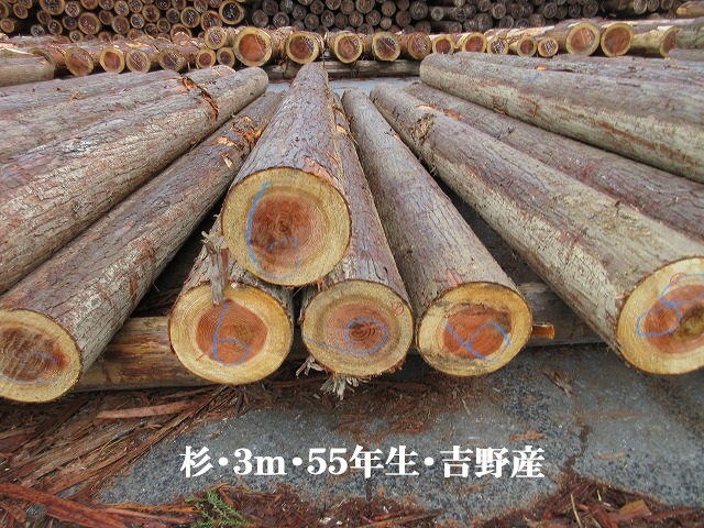 537-23.jpg