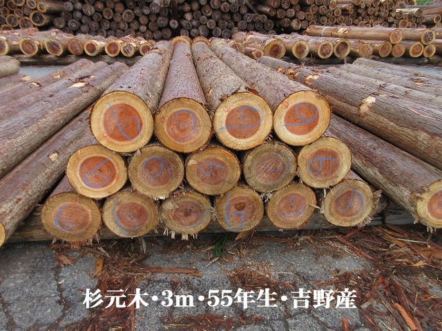537-24.jpg