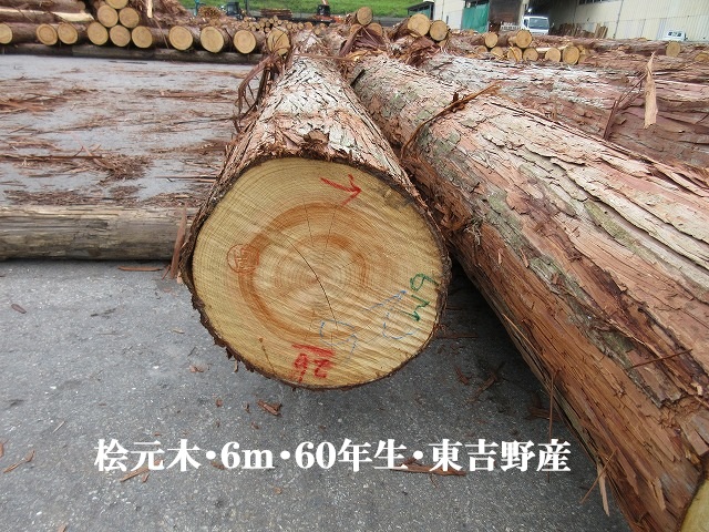 537-32.jpg
