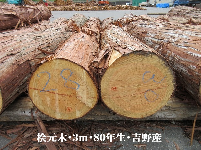 537-37.jpg