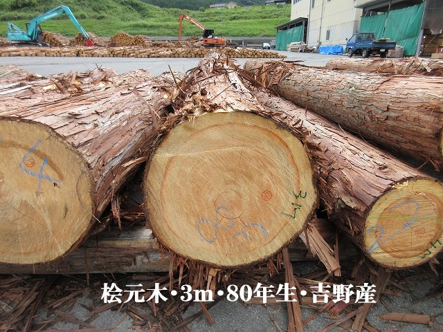 537-38.jpg