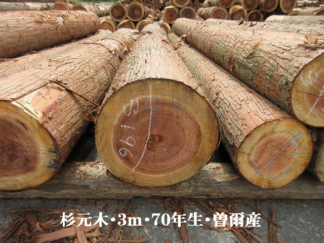 537-50.jpg