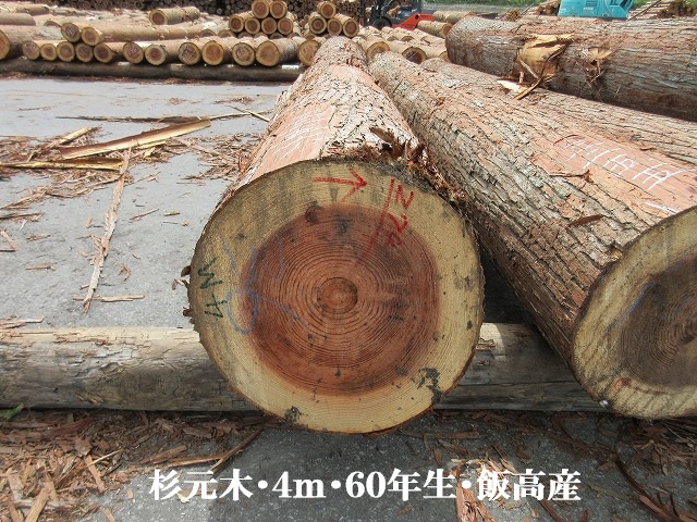 537-54.jpg