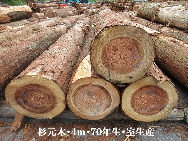 537-60.jpg